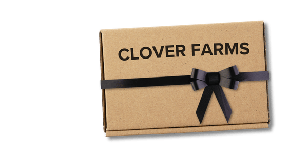 Clover Gift Box