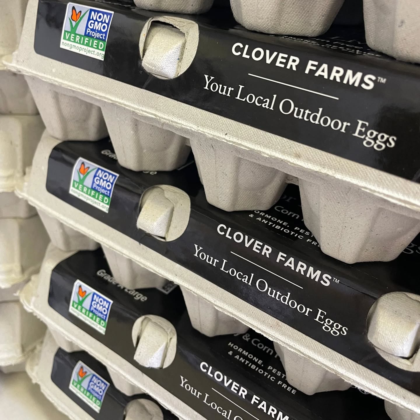 GMO-Free Certified Eggs
