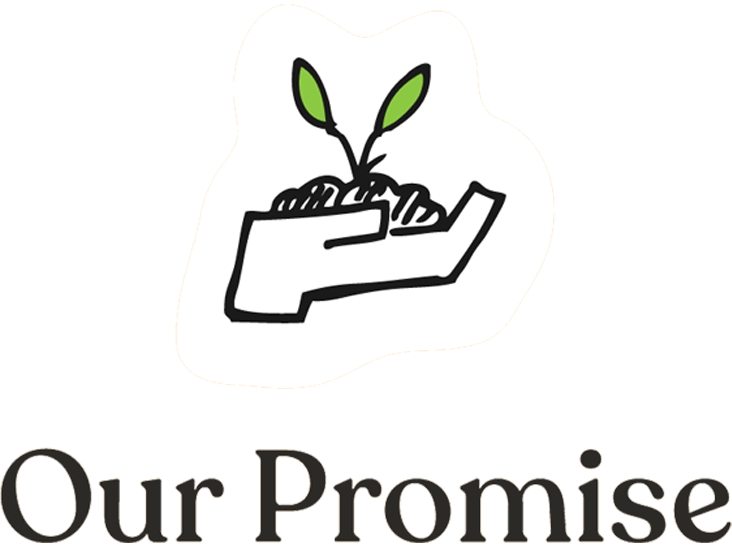 Our Promise Icon with hand of soil