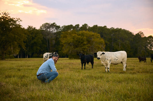 Buying a Beef Share: Whole, Half, or Quarter?