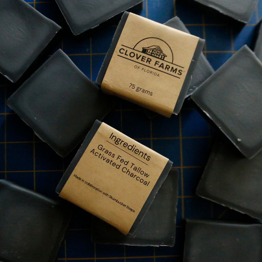 Charcoal Tallow Soap