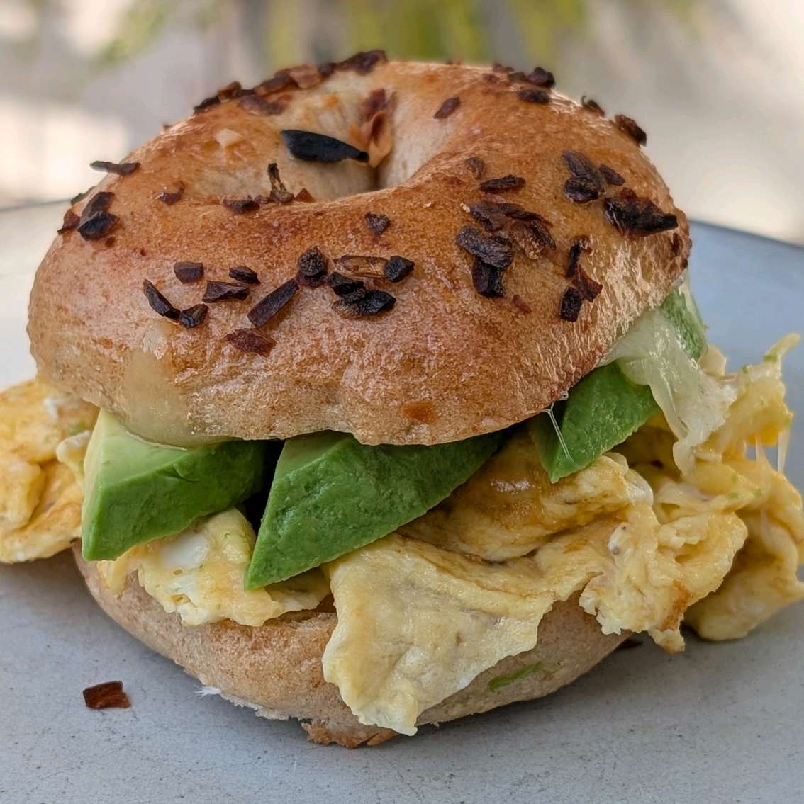 Egg Scrambled Sandwhich