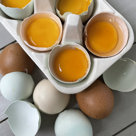 Egg Yolks